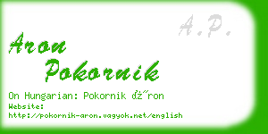 aron pokornik business card